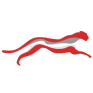 CTNT logo