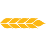 ANDE logo