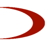 DYSL logo