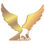 HAWK logo
