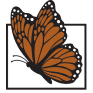 MCRI logo