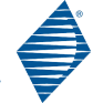 WST logo