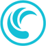 SNX logo